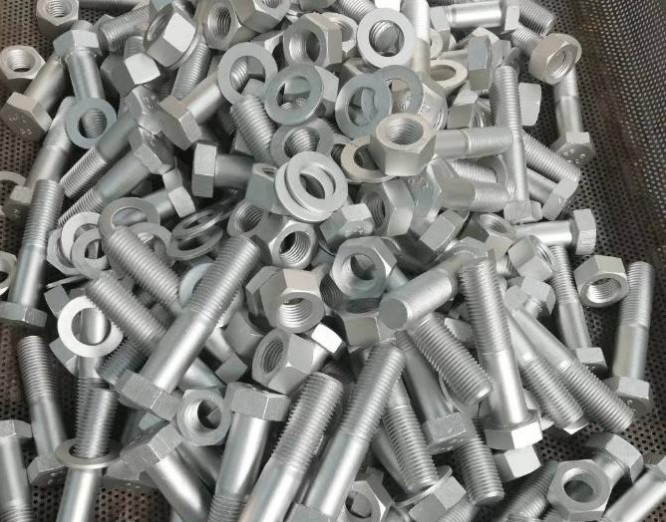 Gecko expansion422 (2)