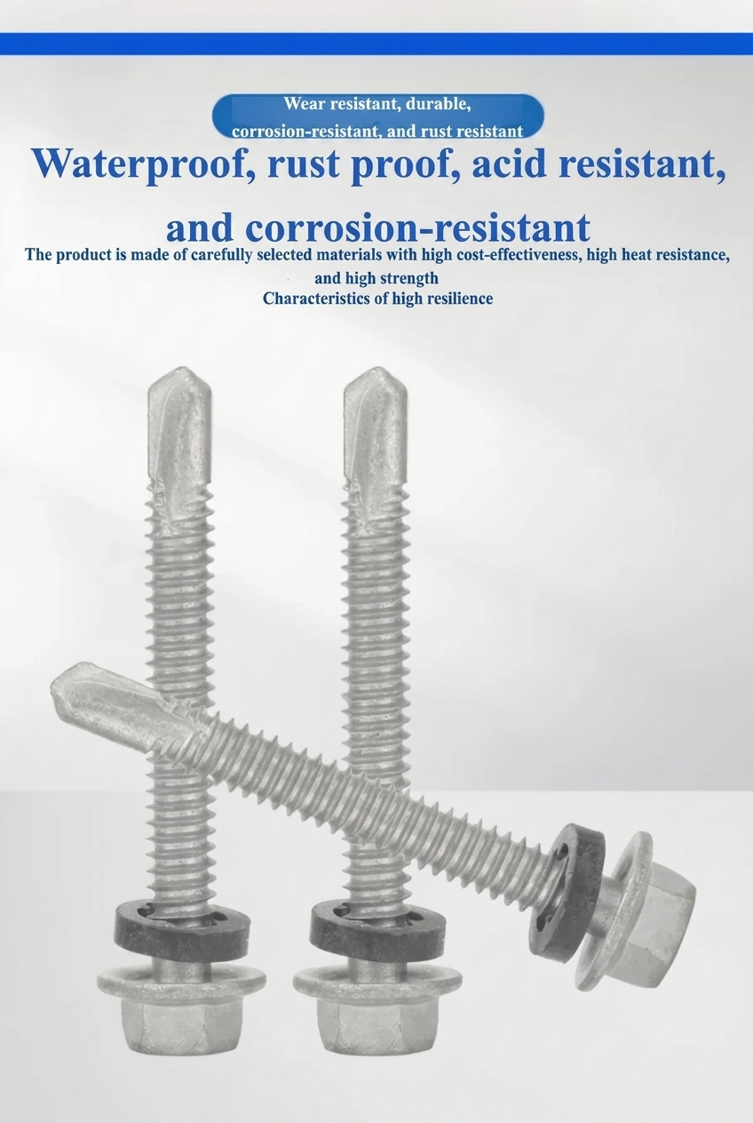 Ruspert Self Drilling Screw (6)
